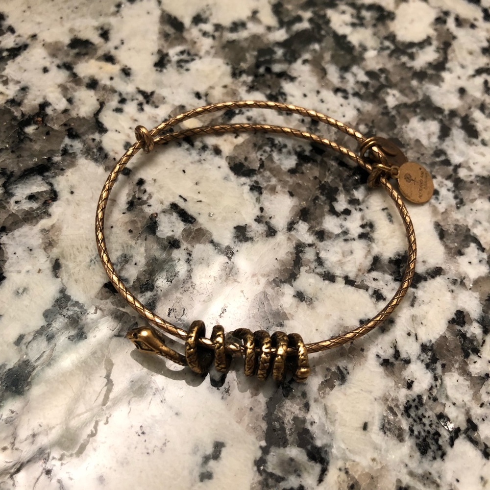 Alex & Ani Snake Bracelet 🐍